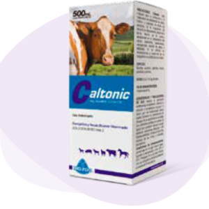 Caltonic